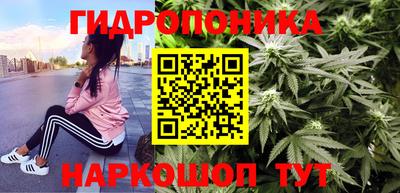 дживик Нальчик