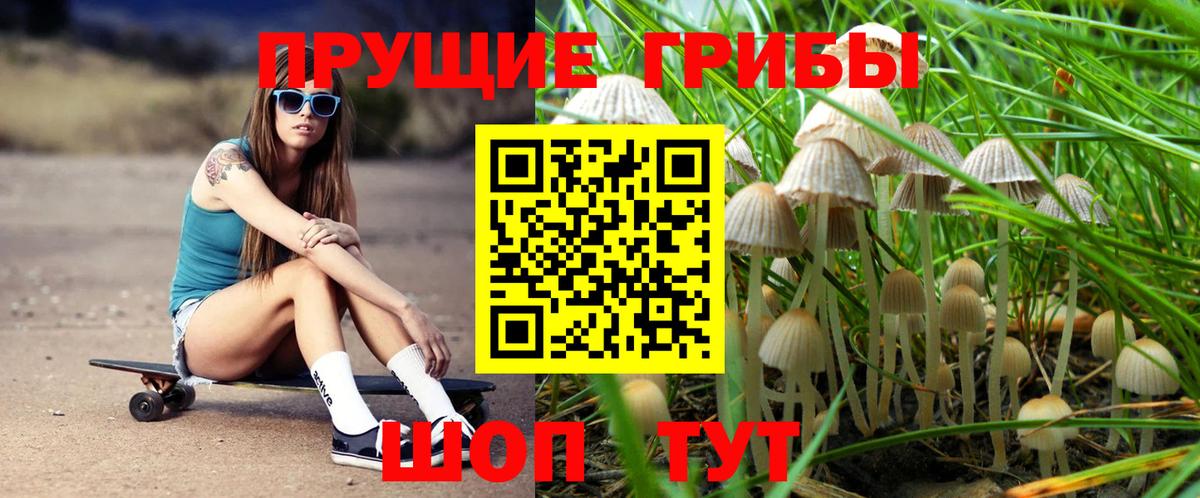 Новокуйбышевск  Галлюциногенные грибы ЛСД  Псилоцибиновые грибы Psilocybine cubensis  Вход с VPN 